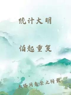 统计大明