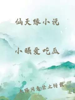 仙天缘小说