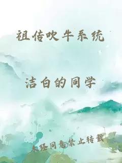 祖传吹牛系统