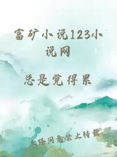 富矿小说123小说网