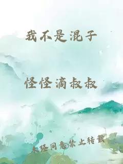 我不是混子