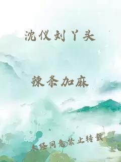 沈仪刘丫头