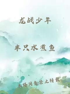 龙战少年