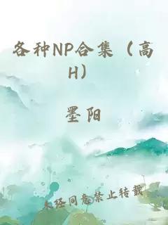 各种NP合集（高H）