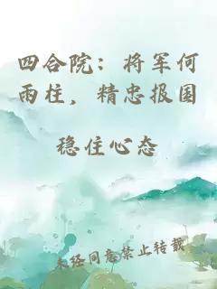 四合院：将军何雨柱，精忠报国